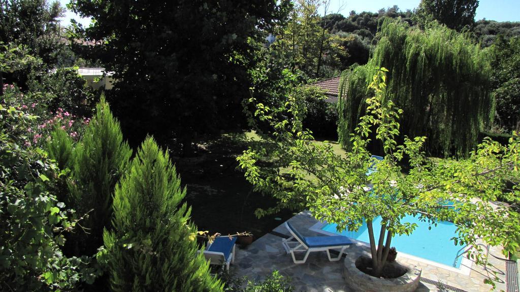 El Pelion *