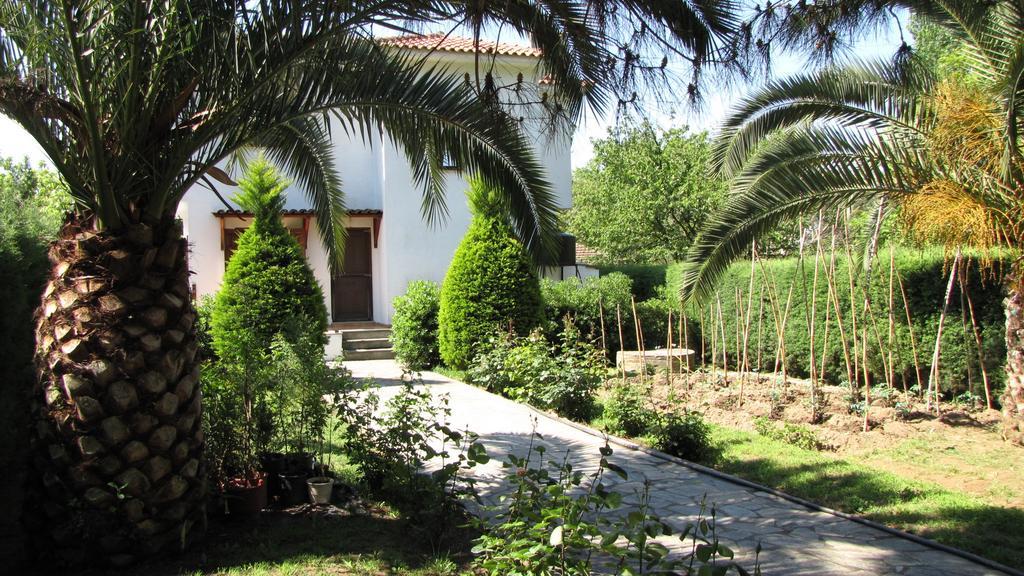 Apartment El Pelion
