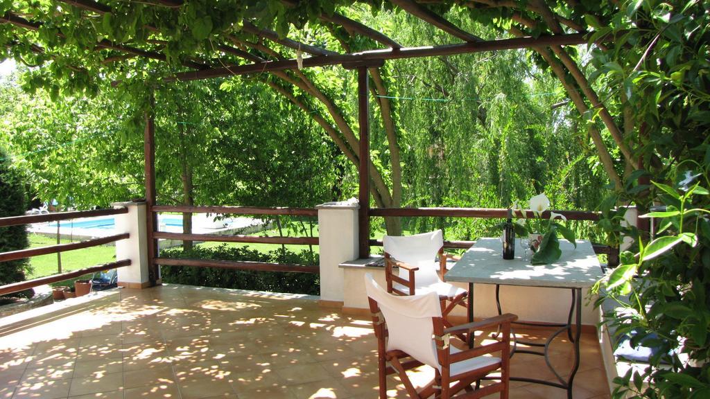El Pelion *